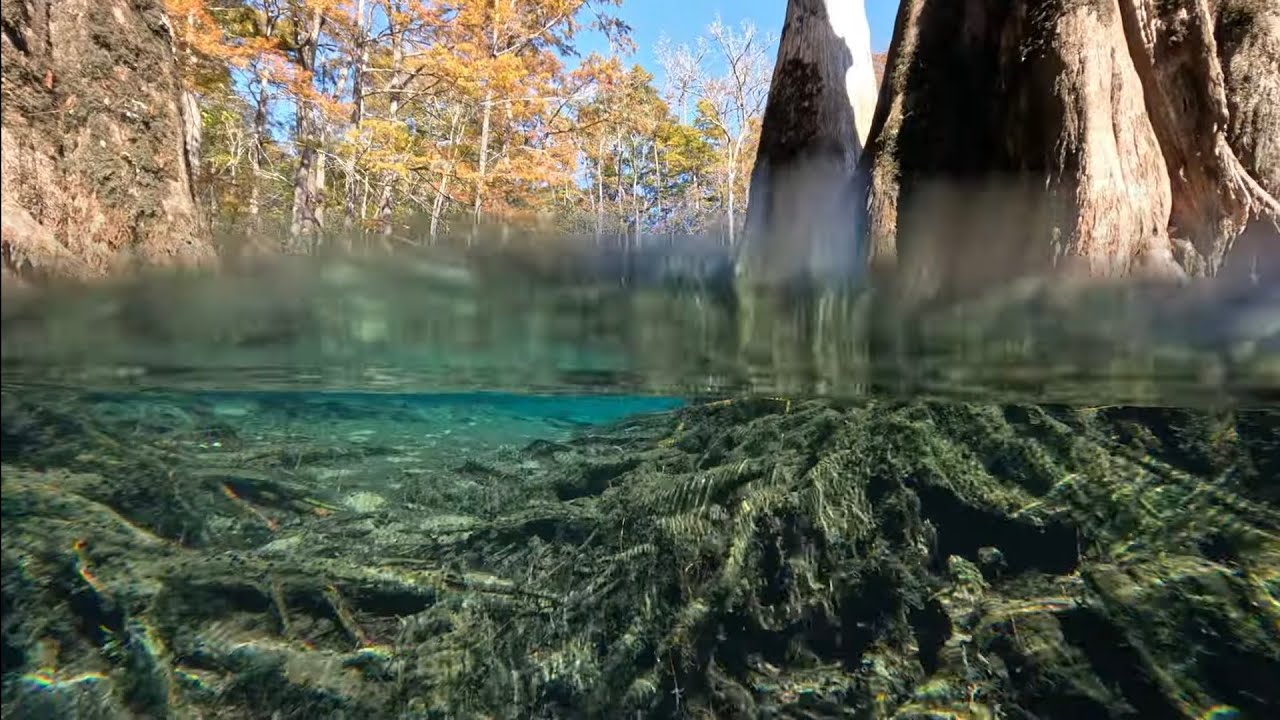 Morrison Springs