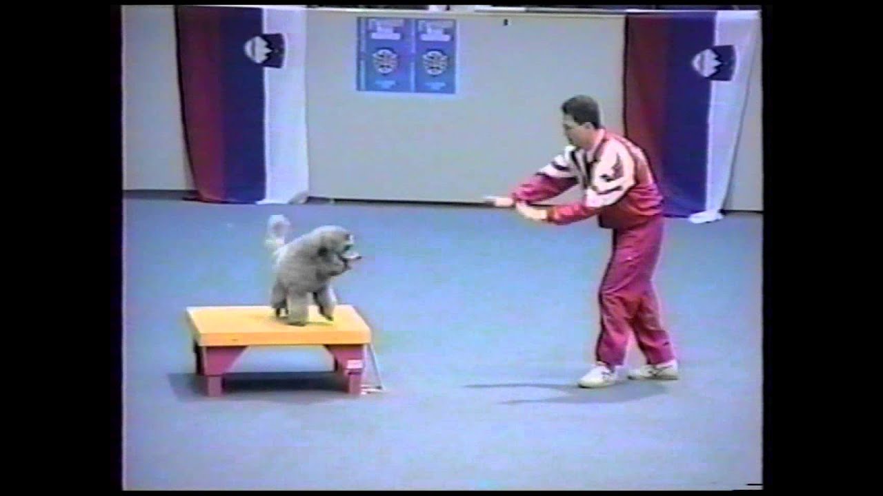 Agility VM 1997 2