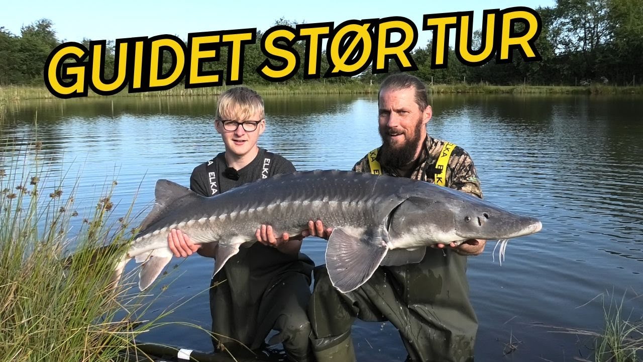KÆMPE FISK PÅ KROGEN - STØR FISKERI // NATURNØRD 685