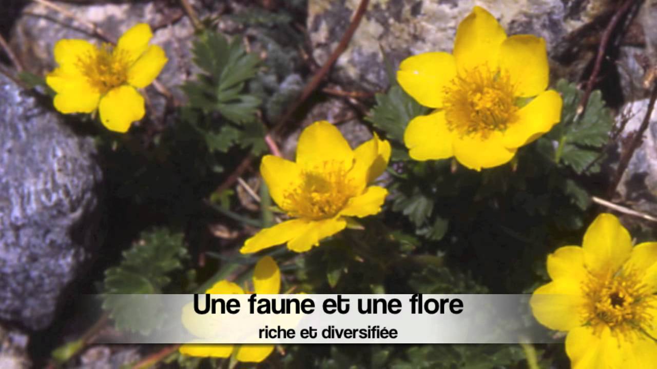 Evolène Région Tourisme