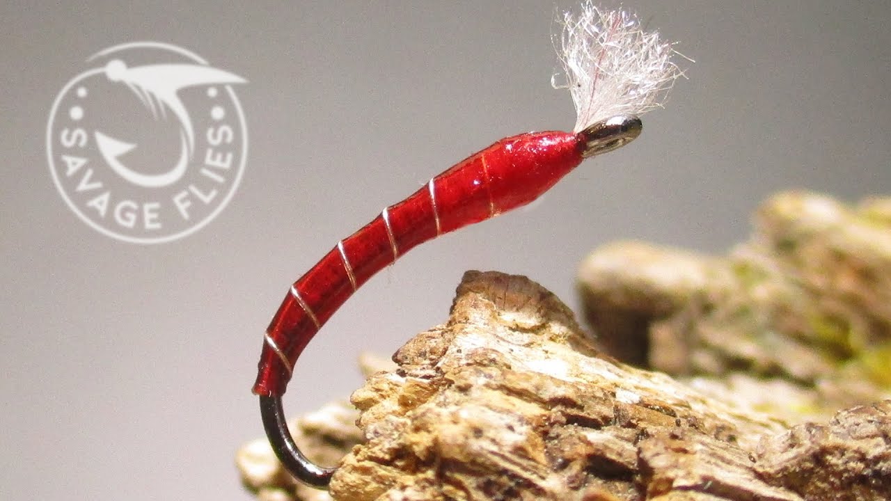 10,000 midge pupa fans can’t be wrong.