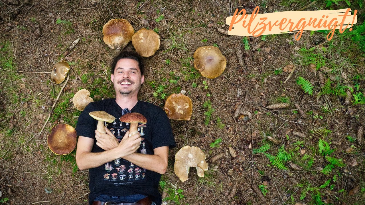 100 STEINPILZ-Riesen auf einem Platz! 😲 Wie ist das möglich?💡
