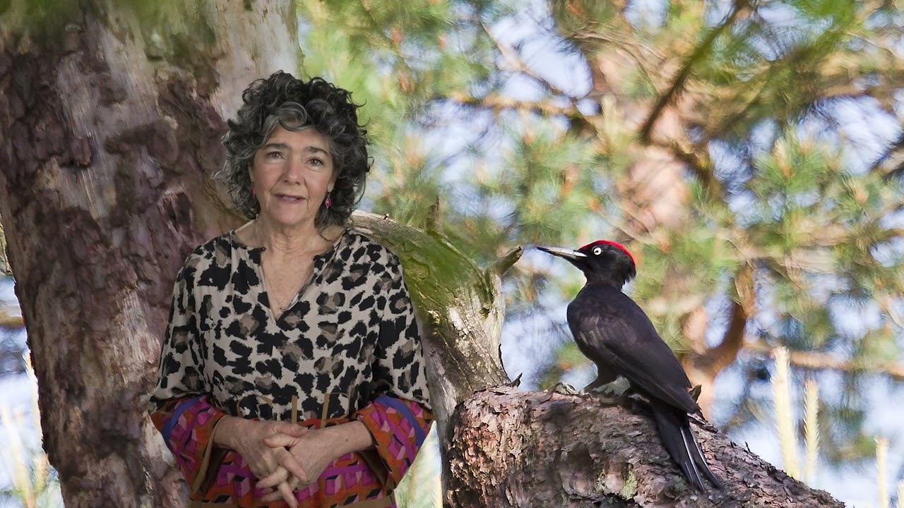 Het wildere Wold | Nationale Parken