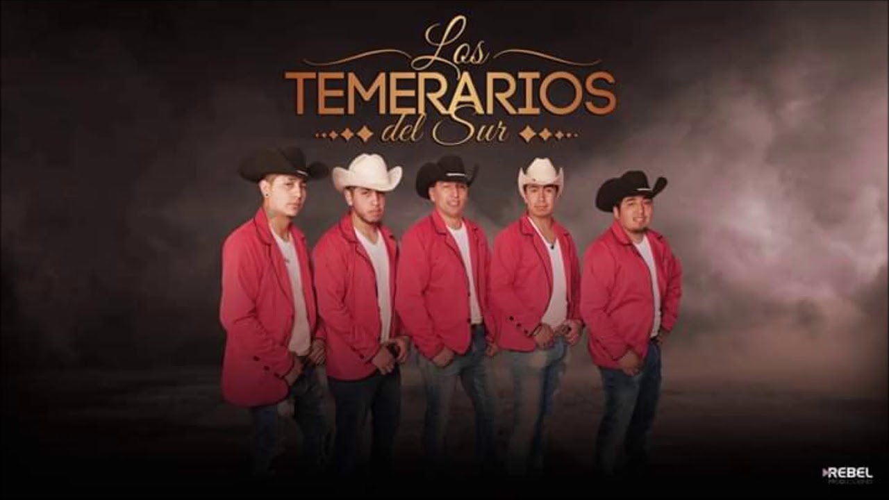 LOS TEMERARIOS DEL SUR - EN PELIGRO DE EXTINCIÓN