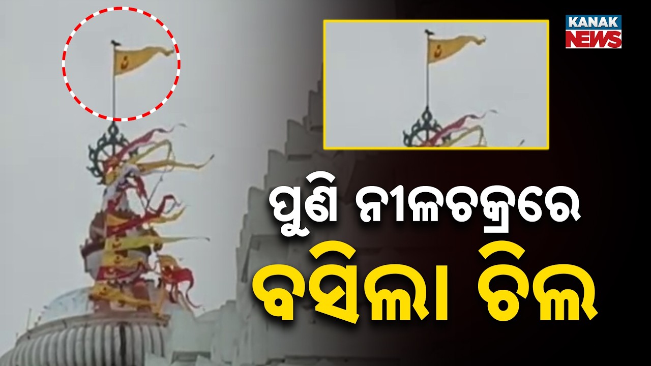 Eagle Sits on Patitapabana Flag Again at Puri Jagannath Temple | Sparks Fresh Debate
