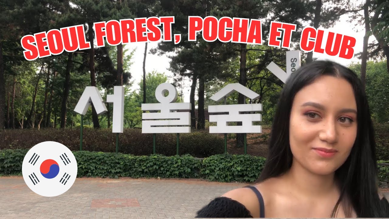 🇰🇷 VLOG 11 : Seoul Forest, Pocha et Hongdae club