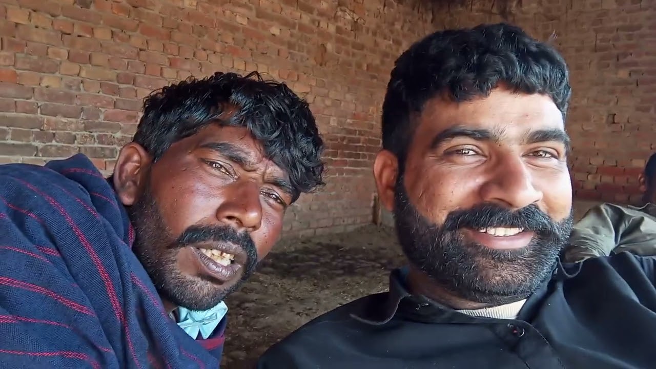 New song Attaullah niazi I  talib Hussain dard kaidi 804 Mansoor malangi naseebo lal noorjahan