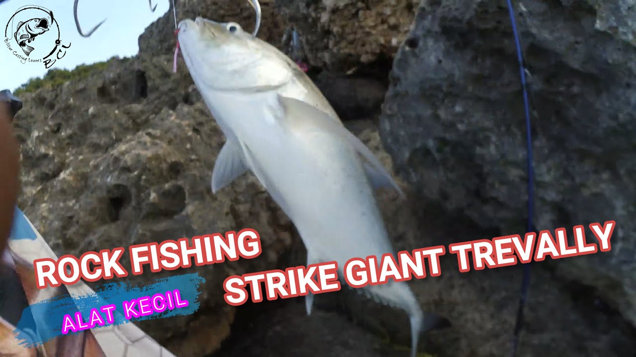 GT Besar VS Super Beno - Ultralight Tackle #169 #bclfishing