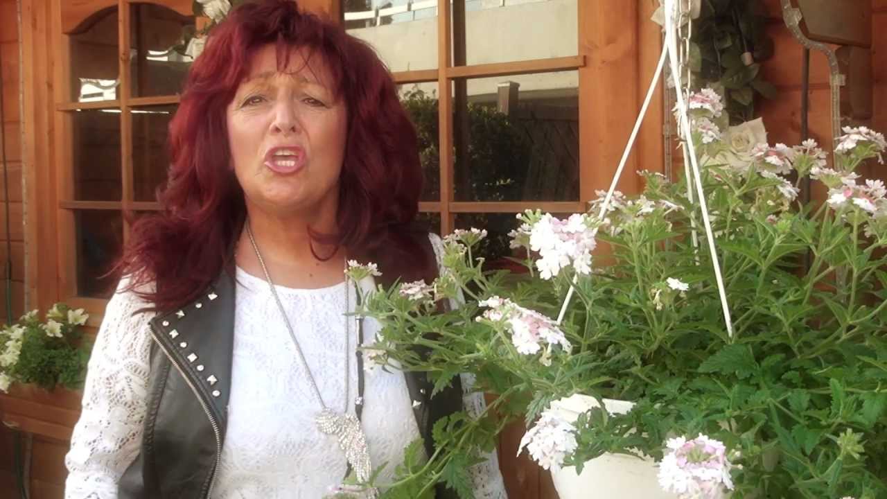 Annelie Michel - Warum tust du mir das an (Official Video HQ)