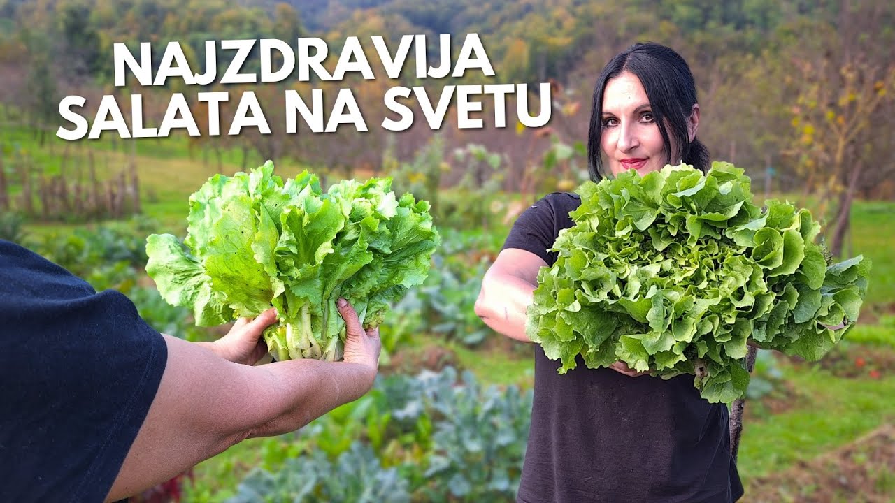 Зелёная Аптека - САМЫЙ ЗДОРОВЫЙ Салат в МИРЕ