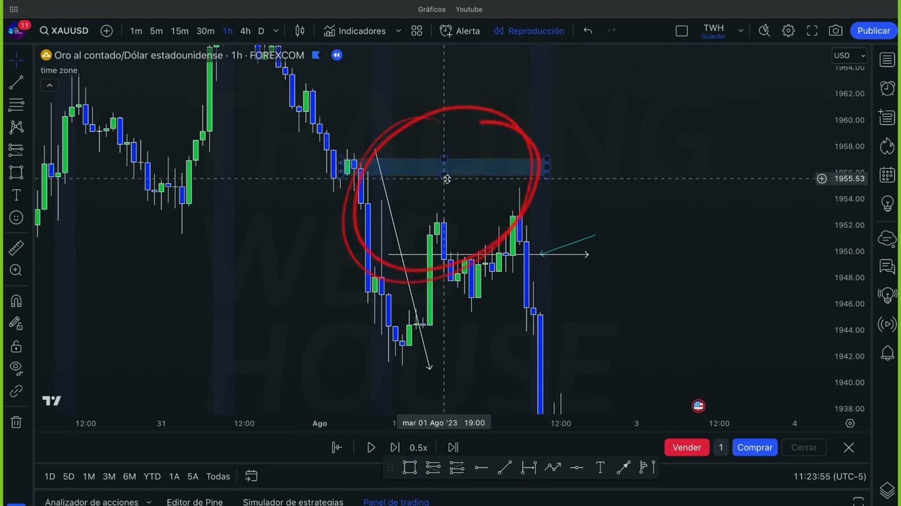curso de nery leon de trading web house (Trading avanzado #8)