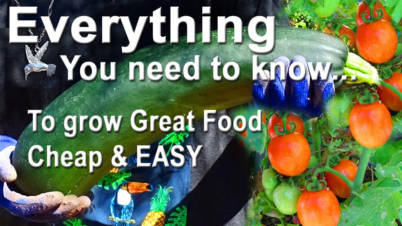 How to Container Garden Tons of Vegetables Cheap & EASY Compost in Pot Plants in Raised Bed ANYWHERE