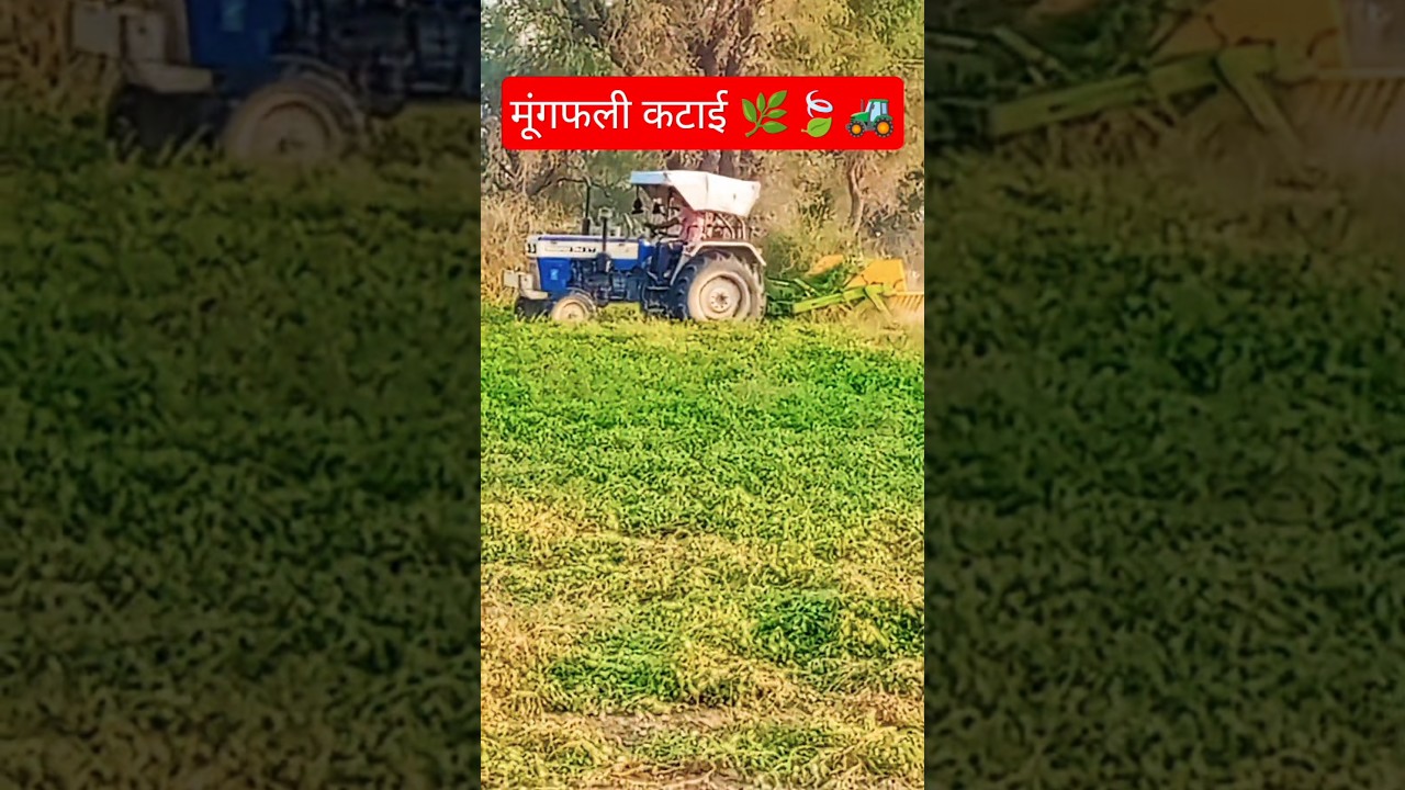 Apna Culture #song #kheti #village #life #farming #love #farmer #viral#video#dj#instagram#khetibadi