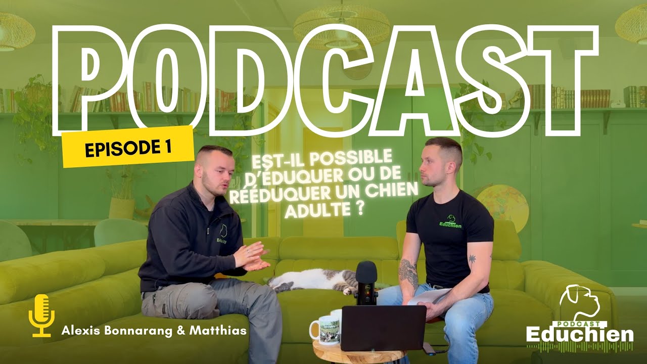 Est-il possible d’éduquer ou de rééduquer un chien adulte ? - EDUCHIEN PODCAST 🎙️