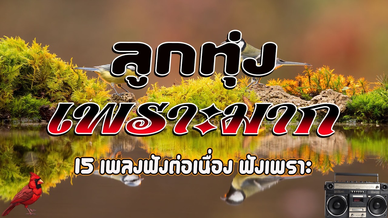ลูกทุ่งเพราะมาก คัดมาพิเศษ : 15เพลงฟังต่อเนื่อง ฟังเพราะ + ฟังเพลินทั้งวัน #รวมเพลงลูกทุ่งฟังเพรา