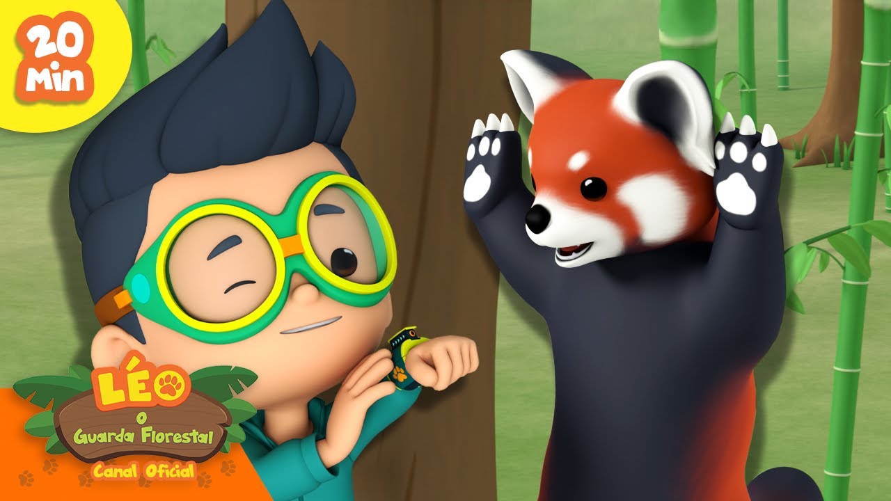 Os animais mais incríveis da ÁSIA! 🎋 | Pandas-vermelhos e mais! | Leo, O Guarda Florestal | Animação