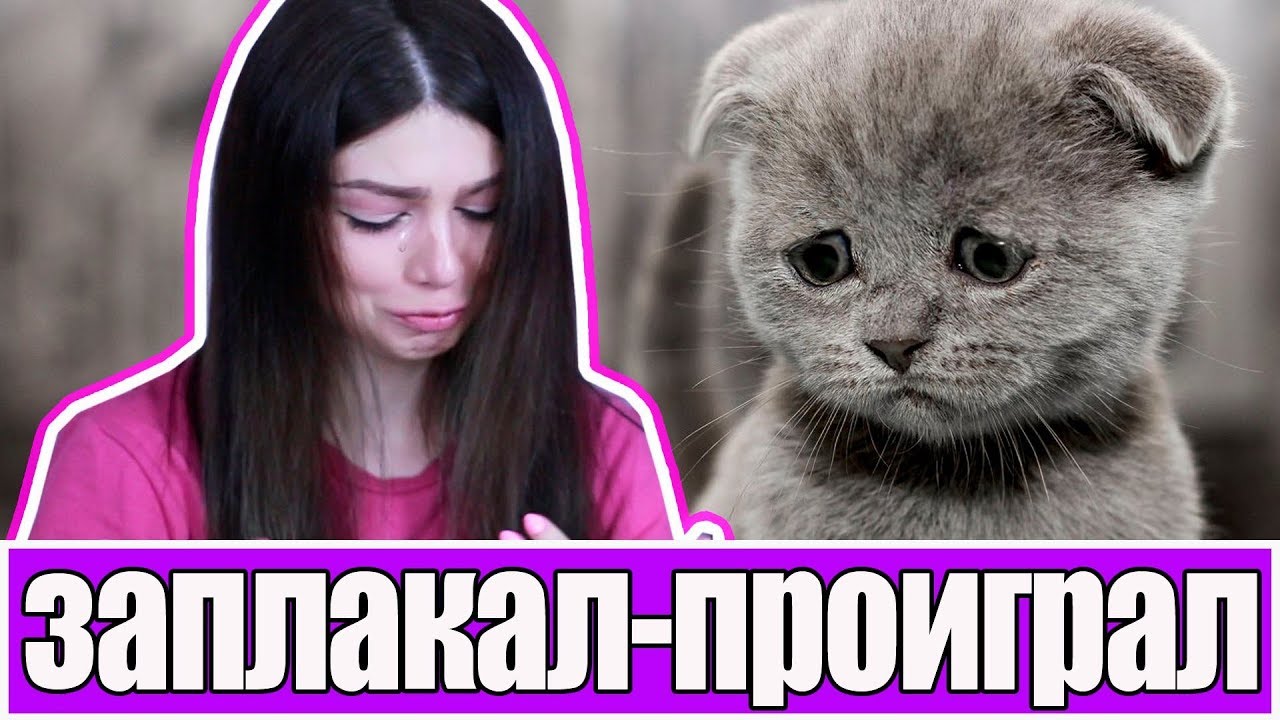 ЗАПЛАКАЛ - ПРОИГРАЛ: ВЫ БУДЕТЕ ПЛАКАТЬ ВМЕСТЕ С НАМИ