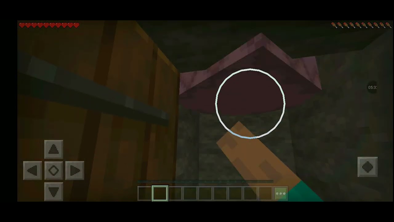 Minecraft Parte 10