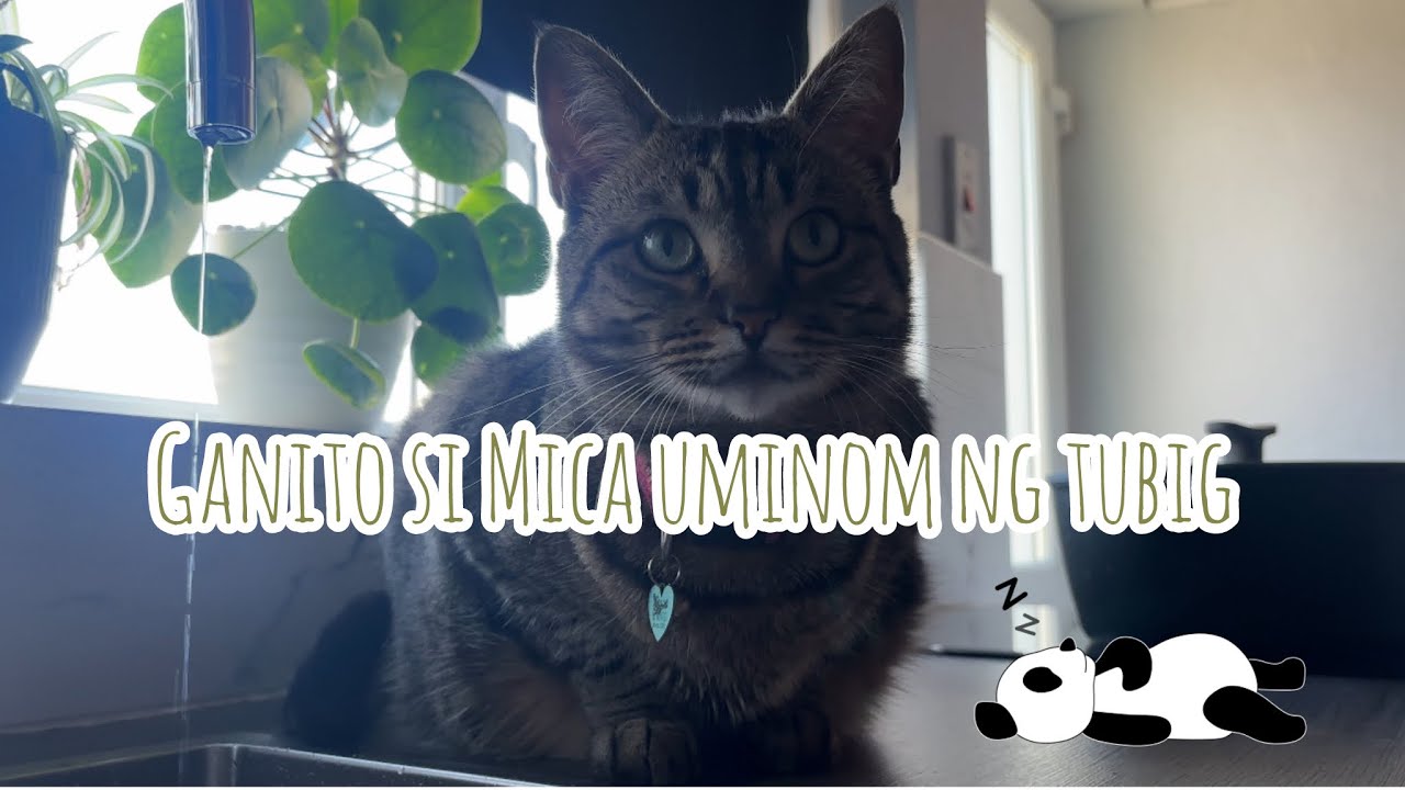 Ganito si Mica uminom ng tubig