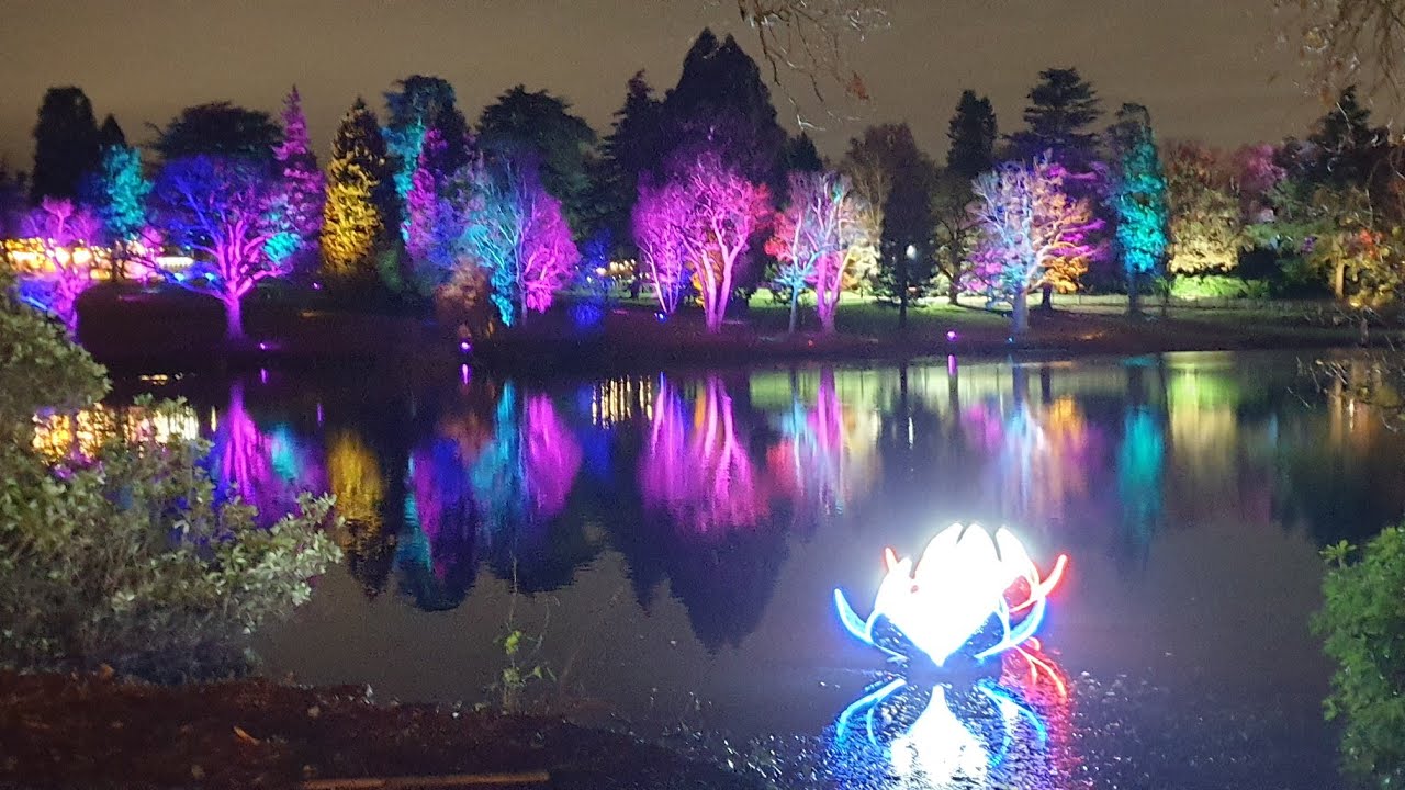 Windsor Illuminated,Windsor Great Park Illuminated throughout Saville Gardens for Christmas 2021