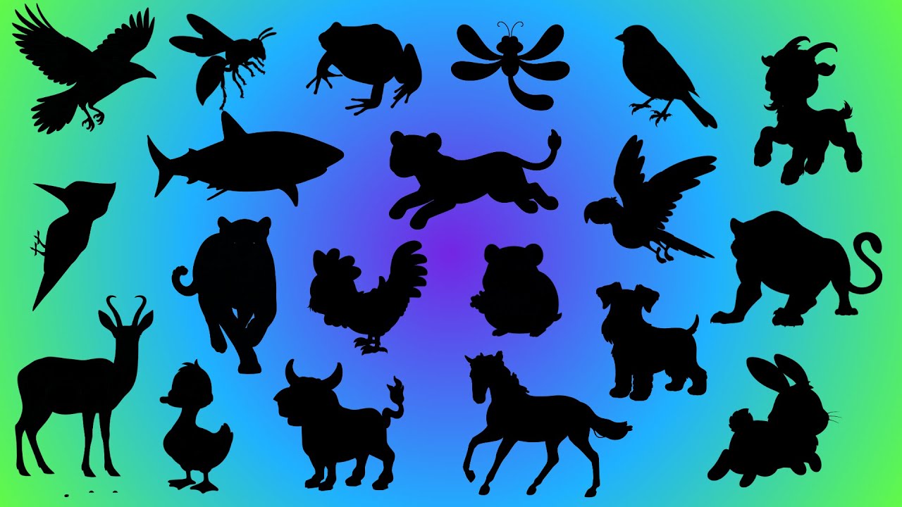 🐯 Descubra o Animal pela Sombra! 😲 Você Consegue Adivinhar?