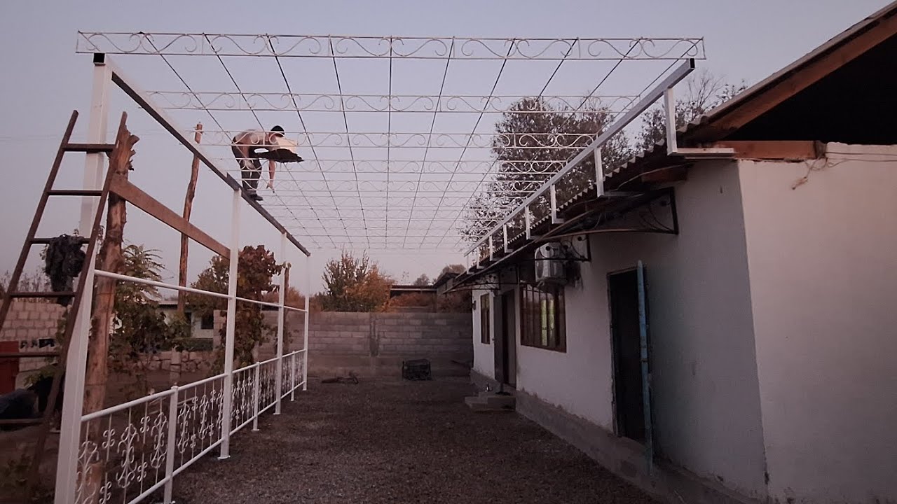 Чойлоби ангур. #виноградник @MASTERSKAJA.MUHSIN 