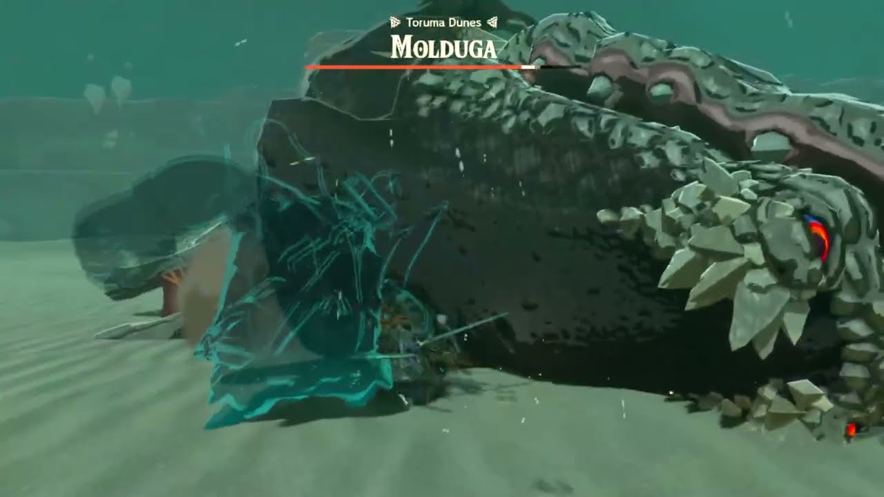 How to Beat Molduga Guide in Zelda Tears of the Kingdom (TOTK)