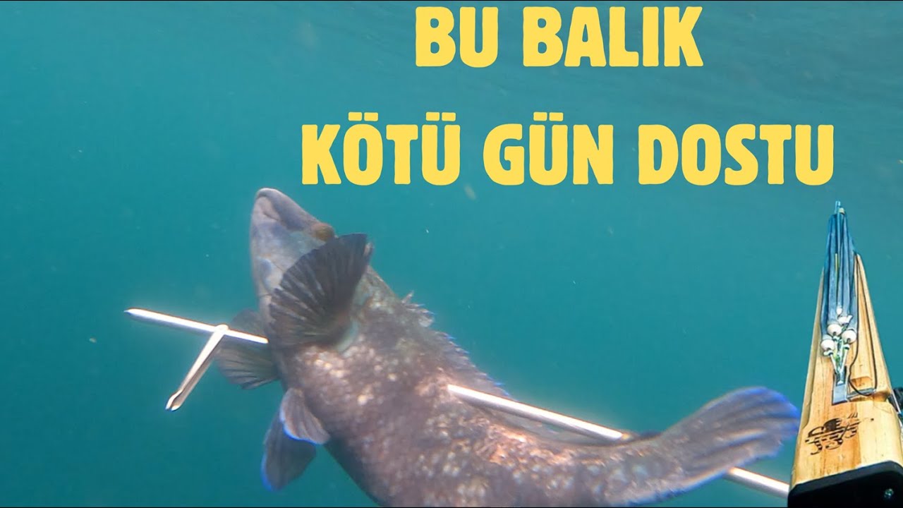 Mersin'de zıpkınla balık avı: Levrek, lagos, baraküdalar ve kikla