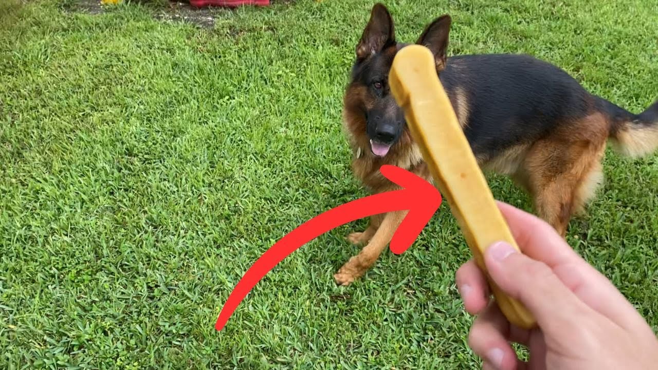 EcoKind Yak Cheese Dog Chew Review: Is It Really Worth It?