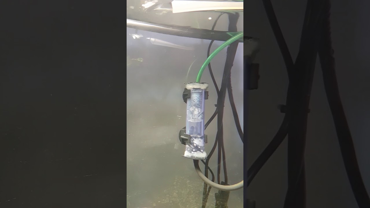 Reattore/atomizzatore co2/anidride carbonica per acquario fai da te /low cost