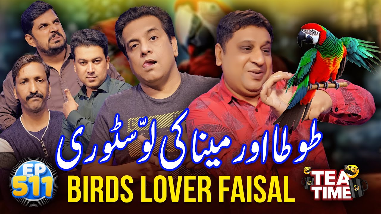 Tota Or Maina Ke Love Story | Birds Lover Faisal Ramay | Tea Time 511