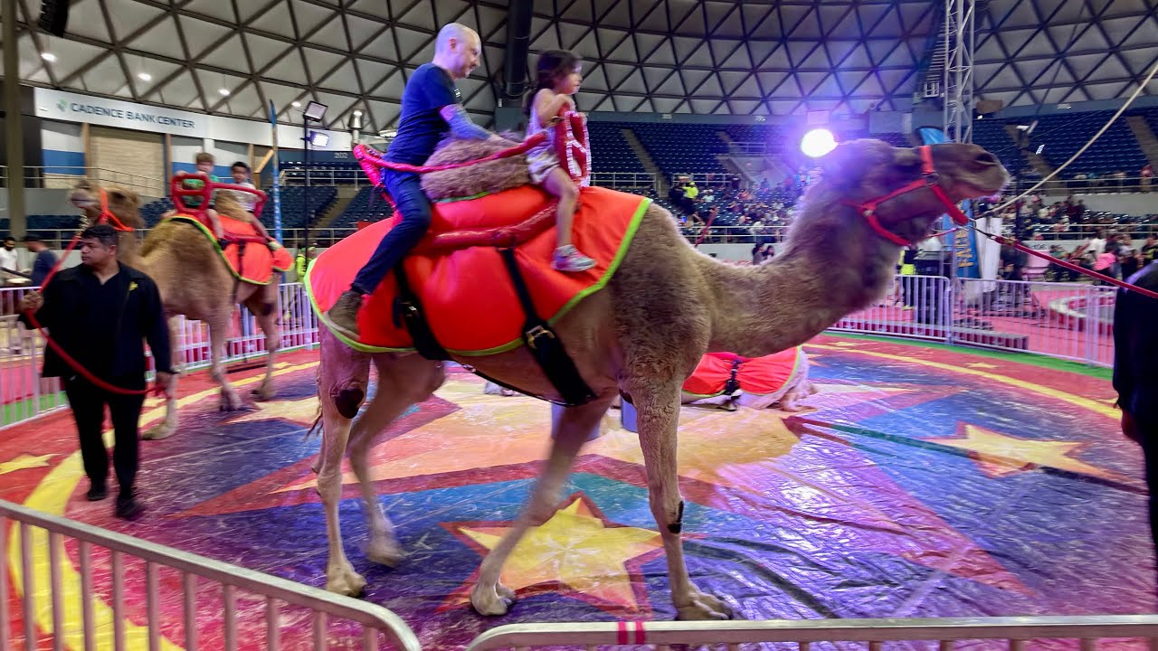 #cardeninternationalcircus #circus animals #circus rides #cadence bank center @cardencircus #2/28/26
