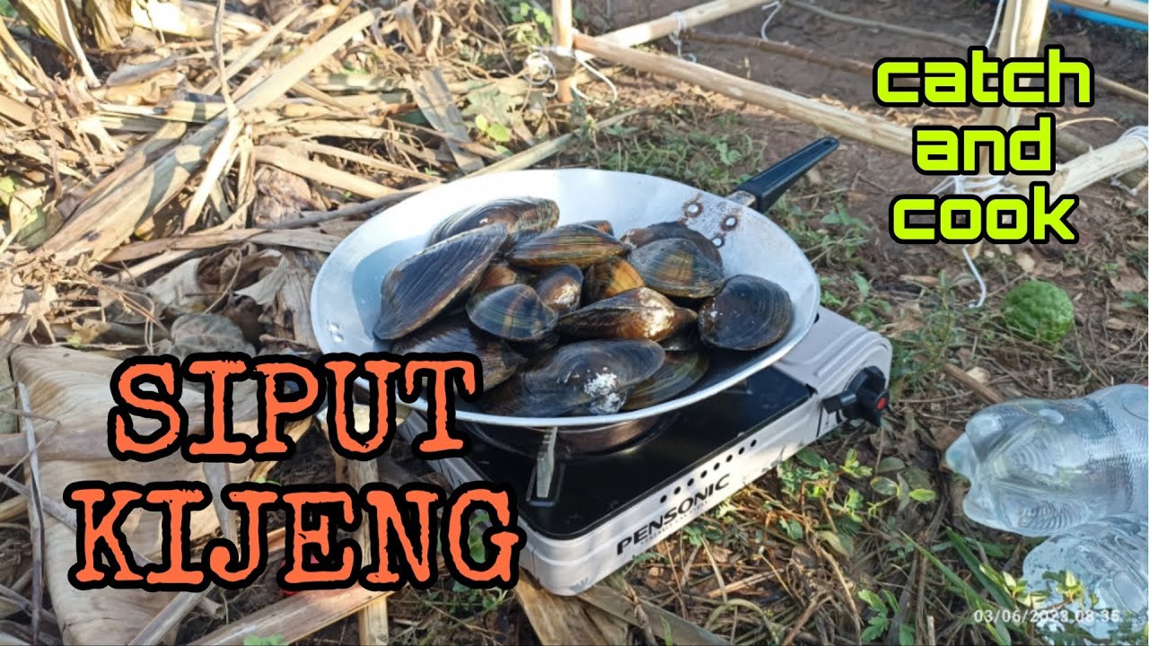 #EP877 Cari Kayu, Angkat Bubu dan Masak Siput Kijeng/Lokan Air Tawar
