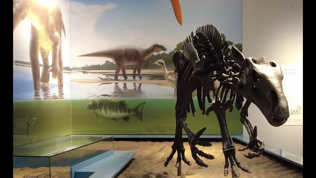 Dortmund Natur-Museum
