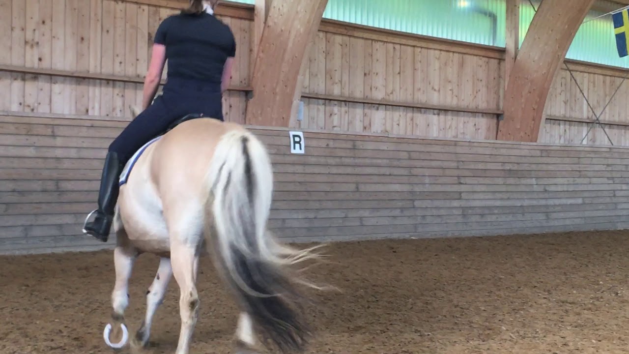 Aska Kry och Ella Råhlén online lätt C:1 dressyr