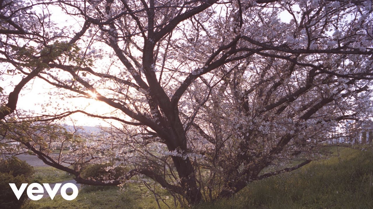 Akira Kosemura - Where Life Comes From And Returns (Visualizer)