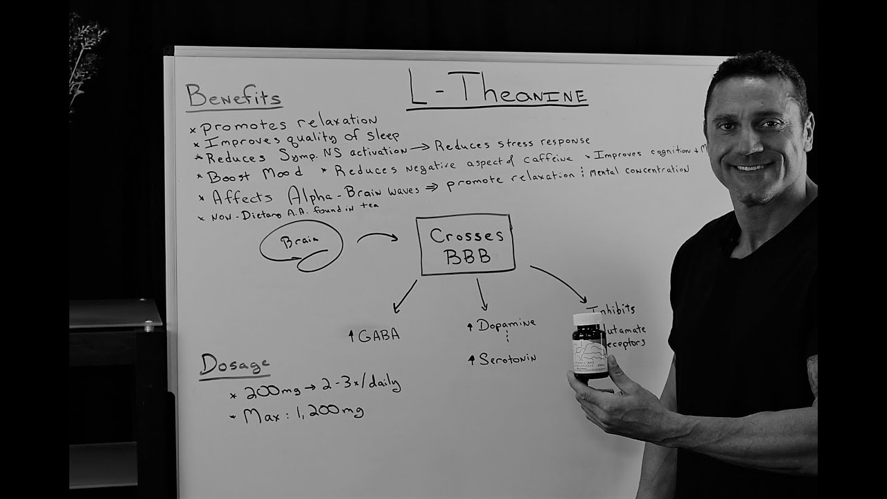 What is L- Theanine?