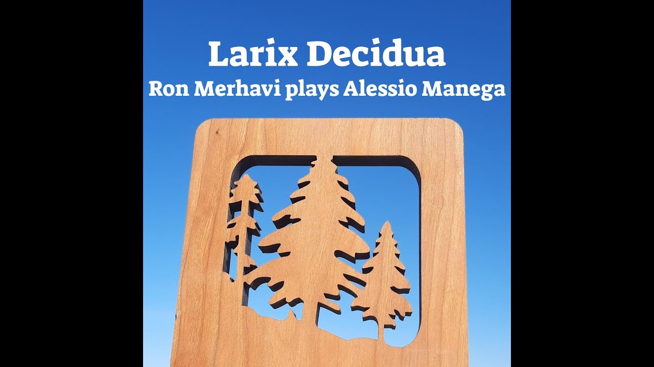 Alessio Manega | Larix Decidua | Ron Merhavi – Double Bass