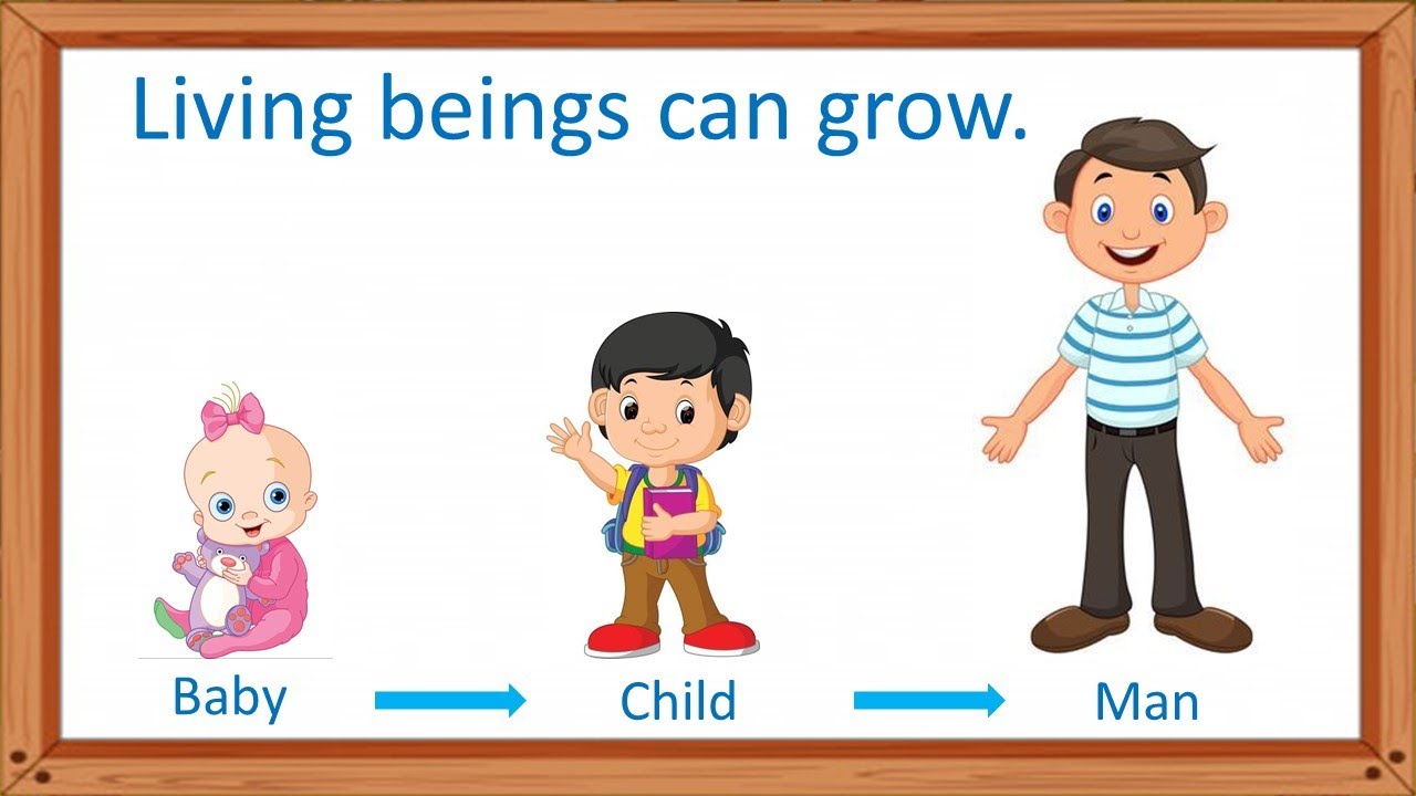 Living things and non living things | Characteristics of living and non living | Learn with fun