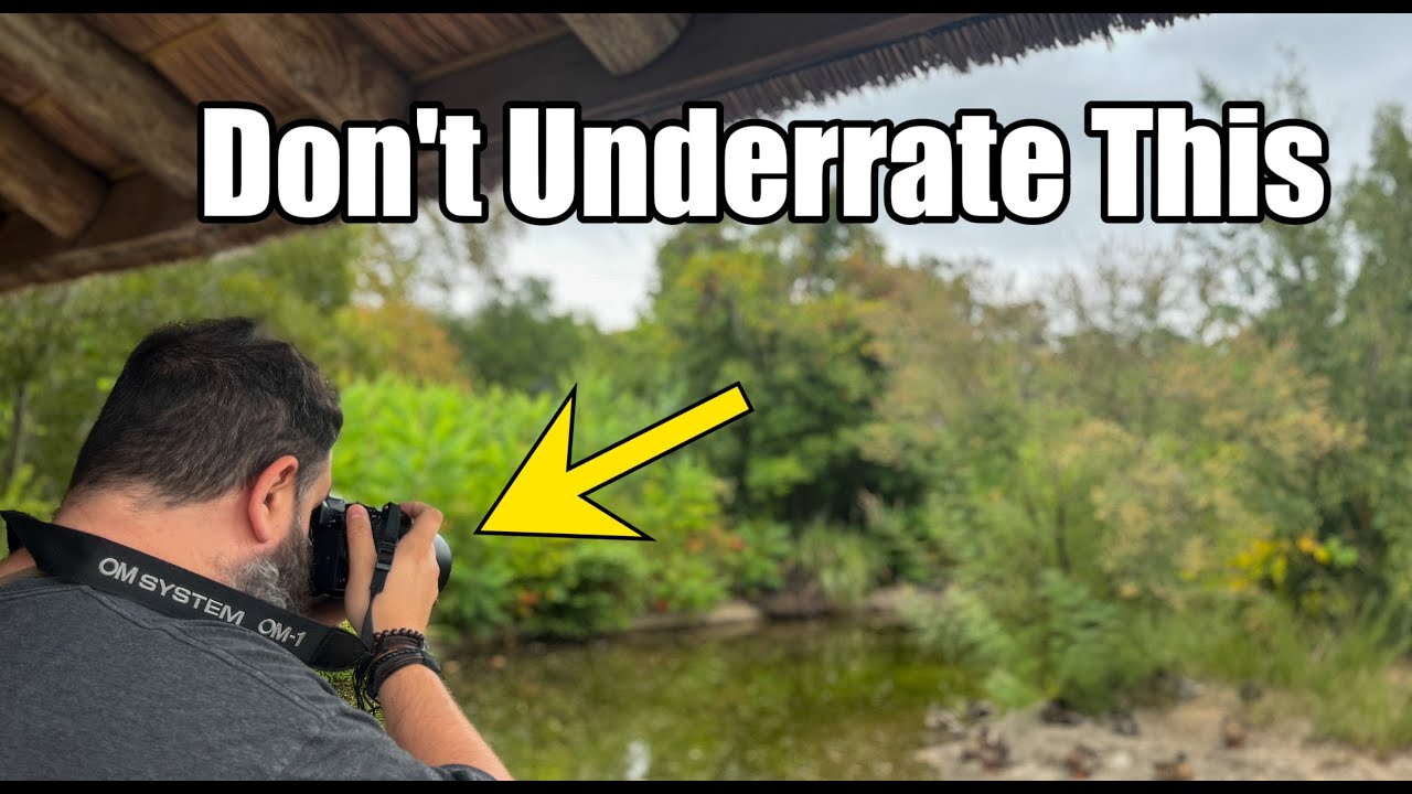 OM System Autofocus & ISO Put to the Test | Better Than You Think!