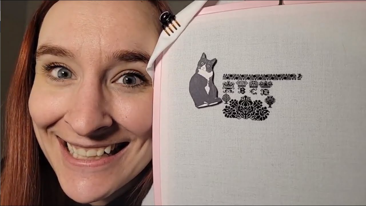 Flosstube #54: Hi I stitch tiny things.