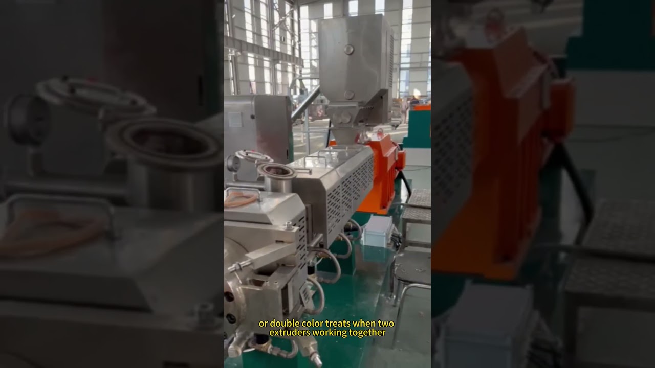 3 strips dental treats making by twin screw extruder
