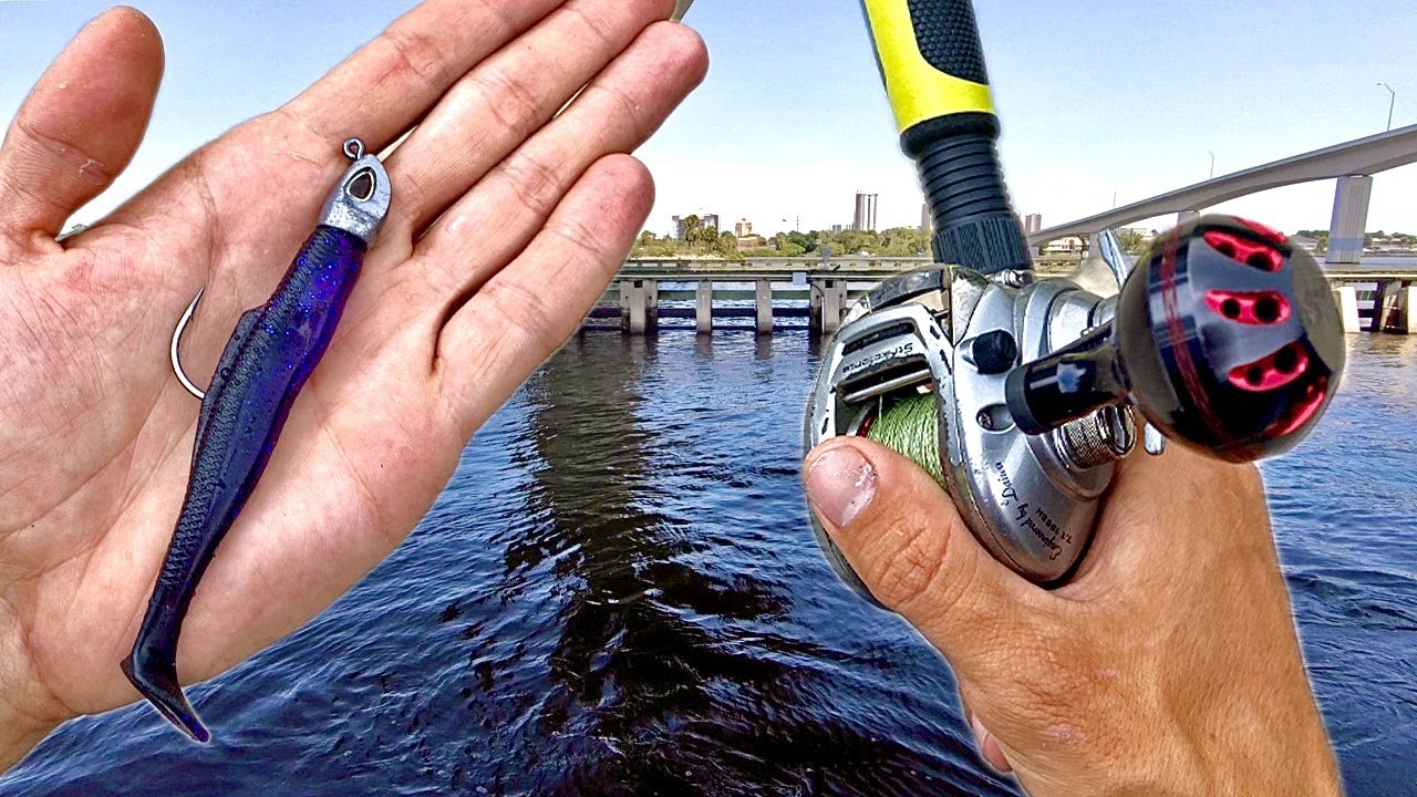 SNOOK Fishing URBAN Bridges & Docks!