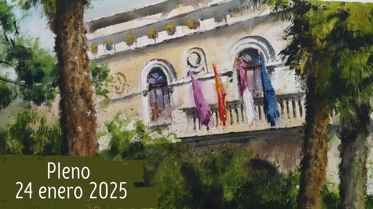 Pleno Diputación Guadalajara 24 enero 2025