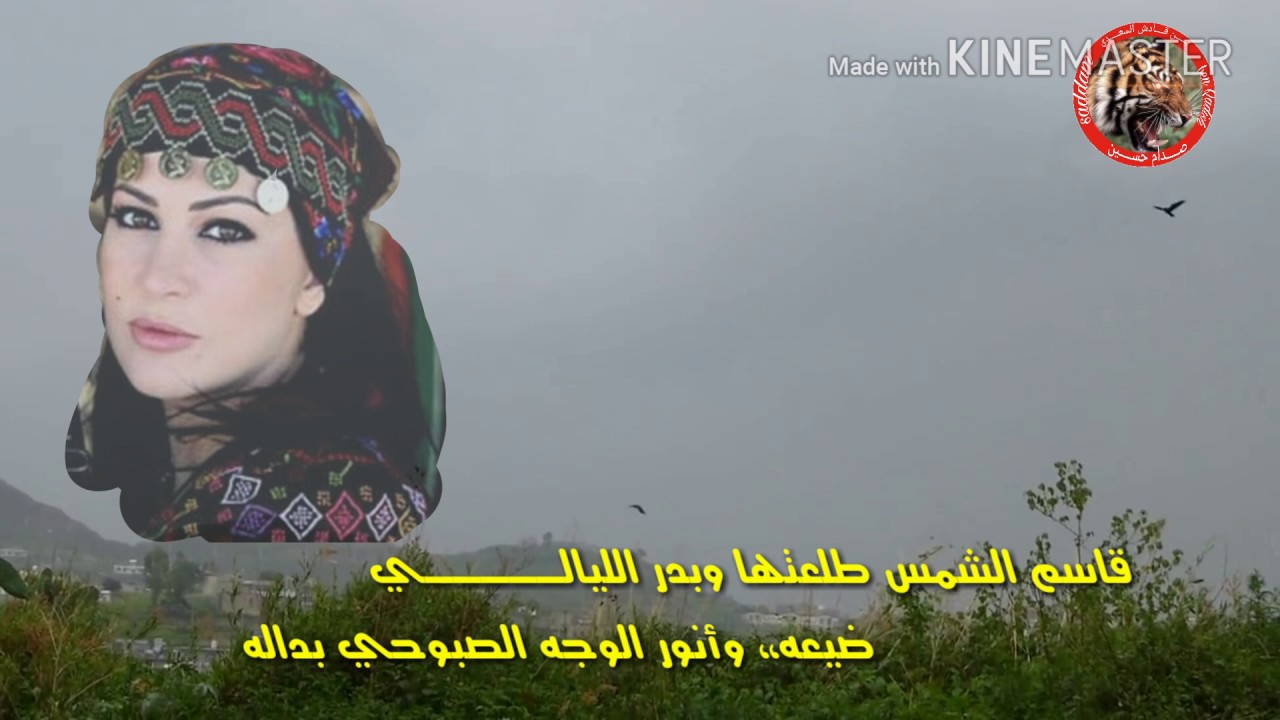 شيلة للشاعر ابو قيس عبدالله العلفي الحاشدي / تنسيق الشاعر ابو قيس عبدالله المشألي اداء مراد النهمي