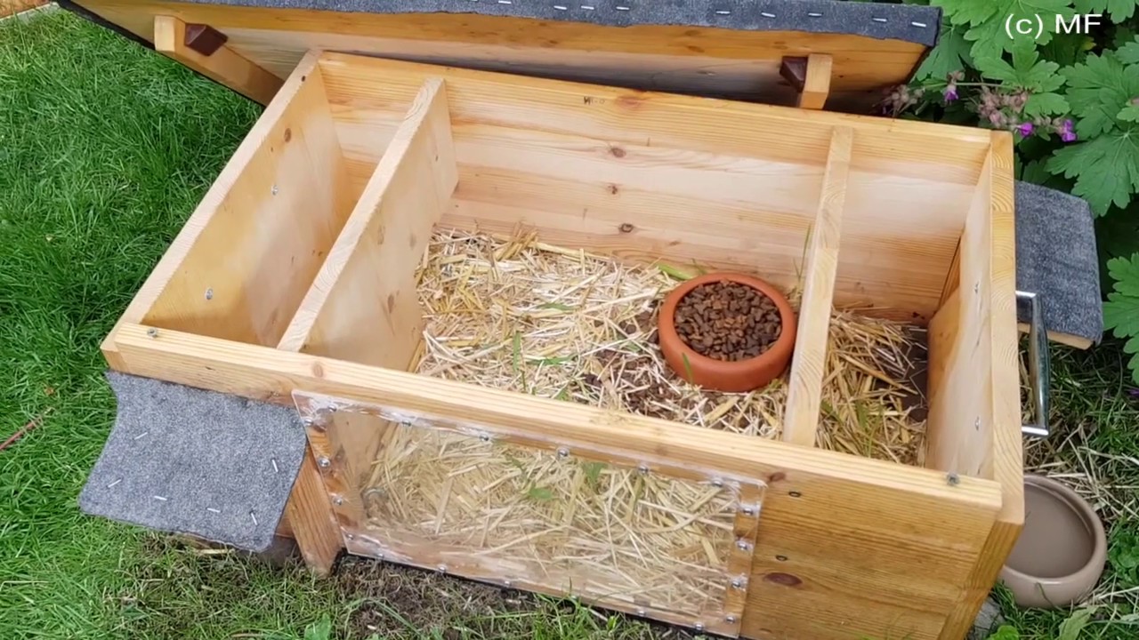 Der Zoff im Futterhaus - oder - warum ein Futterhaus für Igel ZWEI Eingänge braucht.