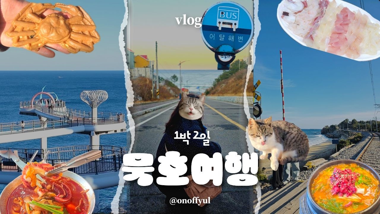 아직 핫한 🔥여행지 묵호 ! 가기전 필수시청 ⭐ 여행 꿀팁 보고가세요! 1박2일 여행