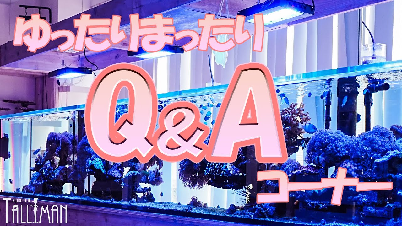 ショートマンTV！ゆったりQ＆Aコーナー！