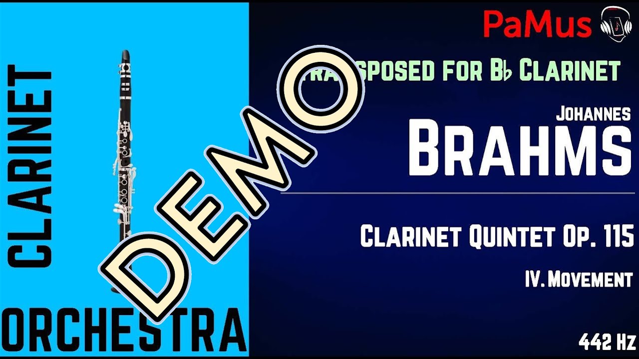 Johannes Brahms: Clarinet Quintet 4th movement - strings accompaniment 442Hz TRANSPOSED