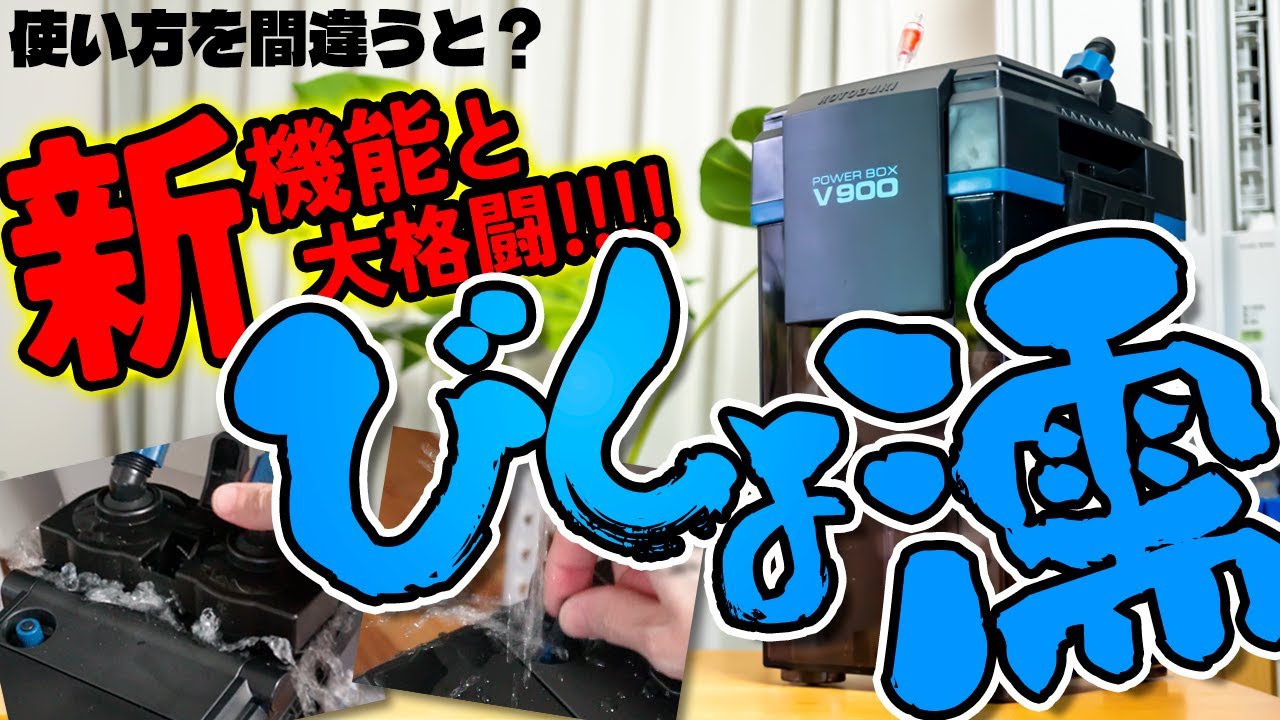 コトブキパワーボックスV900レビュー！日本初の新機能にびしょ濡れ！革新的な神フィルターとなるか！？ #アクアリウム #熱帯魚 【ビバアクア】
